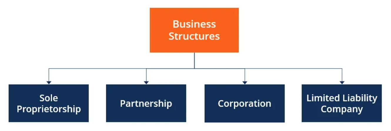estrutura de negócios